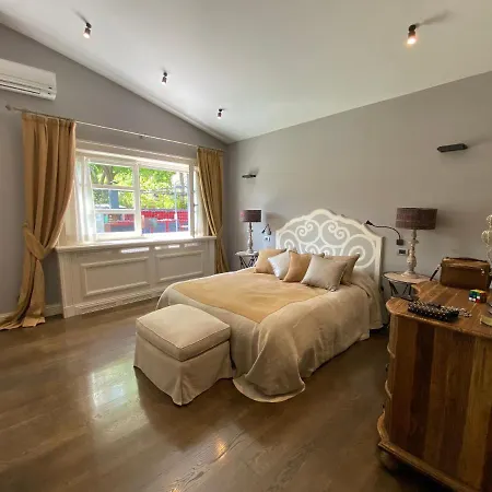 Gatta Bianca * Formello